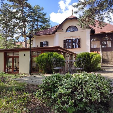 Hotel Imola Garden Vendeghaz Balatonfüred Zewnętrze zdjęcie